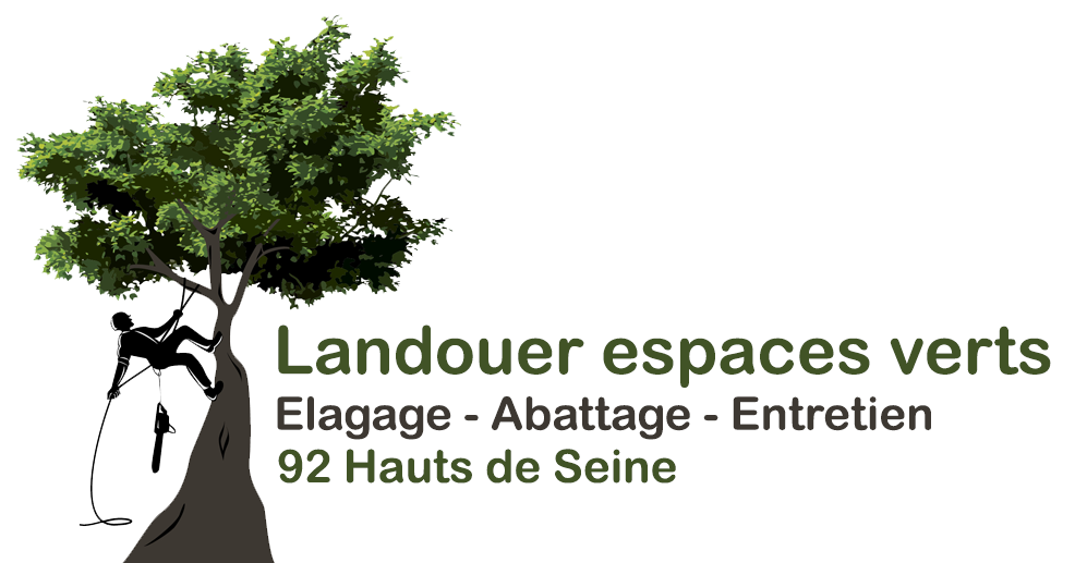 LANDOUER Pierre Elagage 92